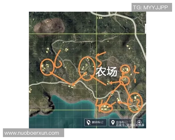 和平精英赛事分析FPX战队荣登第五名经验排行榜揭秘实时新闻